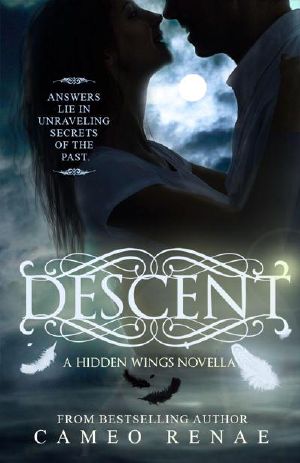 [Hidden Wings 0.50] • Descent